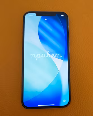 iPhone 12 Pro Max 256gb