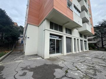 Immobile di 330 m² a Trieste
