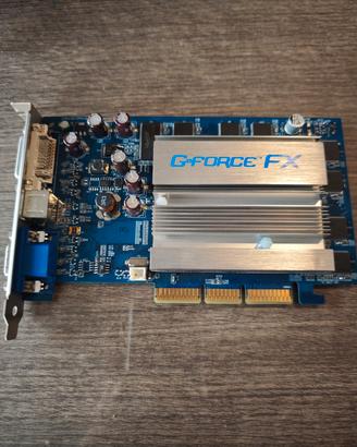 scheda video GeForce fx 5200eq