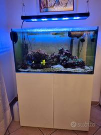 Lampada LED acquario marino