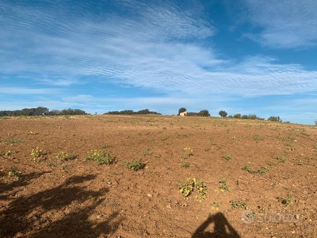 Azienda agricola - Montalbano J.co