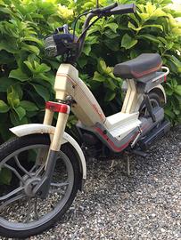 Atala Idea