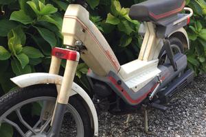 Atala Idea