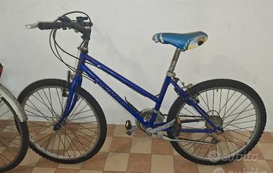 Bicicletta da ragazzo
