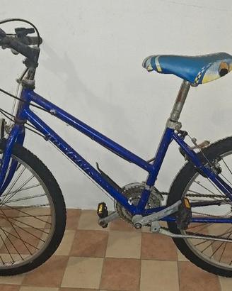 Bicicletta da ragazzo