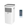 condizionatore-pinguino-9000btu-diloc-gas-r290