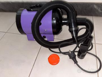 Asciuga capelli per cani