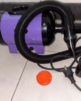 Asciuga capelli per cani