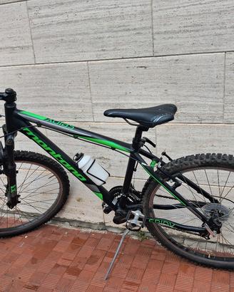 Montana spidy per ragazzo da 24" in alluminio