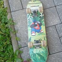 Skateboard semi-professionale