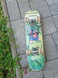 Skateboard semi-professionale