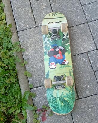 Skateboard semi-professionale