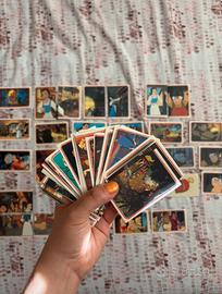 Figurine Panini La bella e la bestia 1992