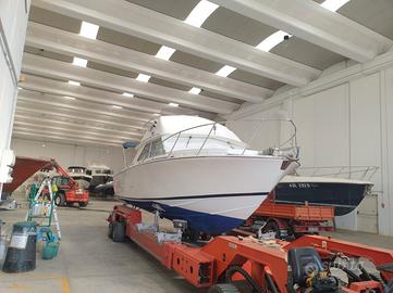 Bertram 28