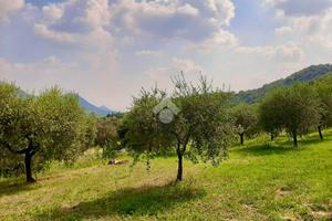 TER. AGRICOLO A TEOLO