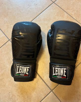 Attrezzatura completa per kick boxing, muai thai..