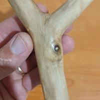 Fionda Artigianale in legno di Noce