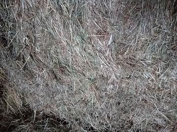 FIENO E PAGLIA IN BALLONI QUADRI