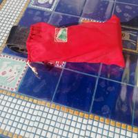 Pelli di foca Cassin