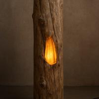 La natura che si illumina