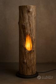 La natura che si illumina