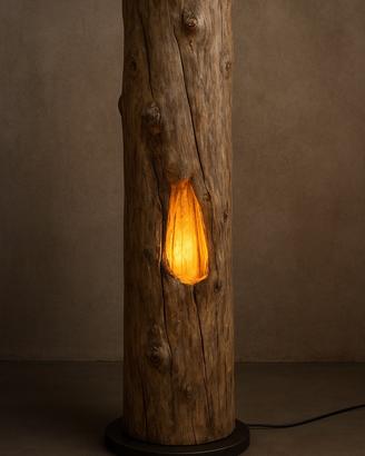 La natura che si illumina