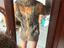 Immagine 4