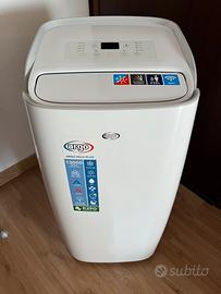Coppia Condizionatori portatili 13000BTU Argo Milo