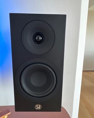 SYSTEM AUDIO LEGEND 5.2 Silverback DS + Stereo hub