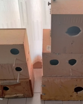 Nidi in Legno per pappagalli