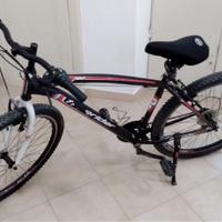 Bicicletta mountain bike Freerider