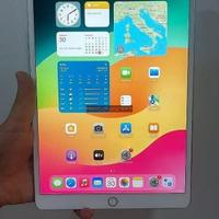 Apple iPad Pro 10.5 2017 silver 256 GB - 7286