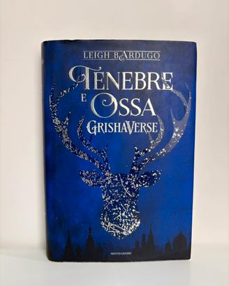 Libro “Tenebre e Ossa” della serie Grishaverse