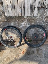 Ruote 29 dt swiss hoppe
