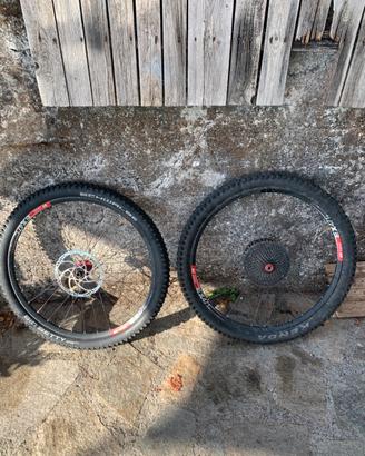 Ruote 29 dt swiss hoppe