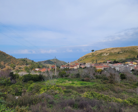 Terreno agricolo con noceto e uliveto