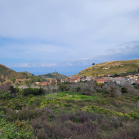 Terreno agricolo con noceto e uliveto