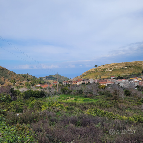 Terreno agricolo con noceto e uliveto