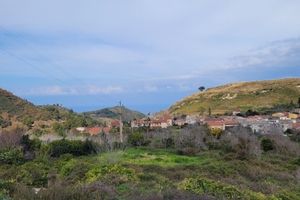 Terreno agricolo con noceto e uliveto
