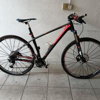 Focus Raven 29 er