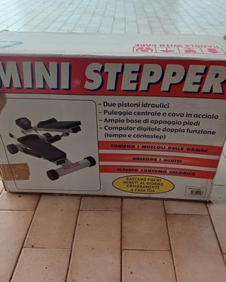 Mini stepper