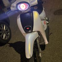scarabeo 50 2t piaggio 