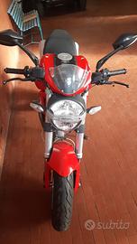 Ducati monster