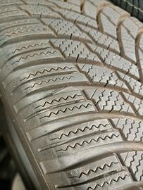 Gomme Invernali 225/55/19 99V