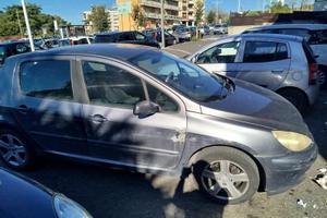  Peugeot 307