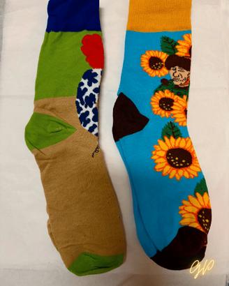 Set 2 Paia Calze Arte – Frida Kahlo & Van Gogh