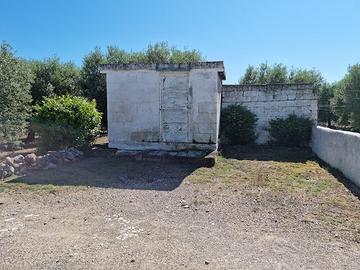 Terreno a CRISPIANO mq. 30000 ulivetato RIBASSATO