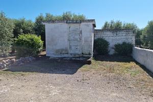 Terreno a CRISPIANO mq. 30000 ulivetato RIBASSATO