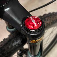 Forcella mtb brain
