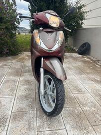 SH 300 anno 2008